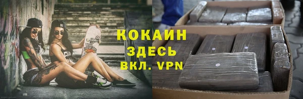 СК Абинск