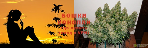 СК Абинск