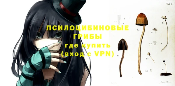 спиды Абаза