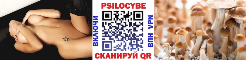 Псилоцибиновые грибы MAGIC MUSHROOMS  продажа наркотиков  Рославль 